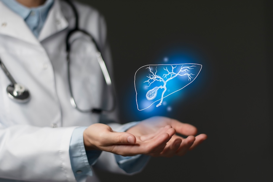 A doctor holding a glowing contour drawing of a liver in their hands