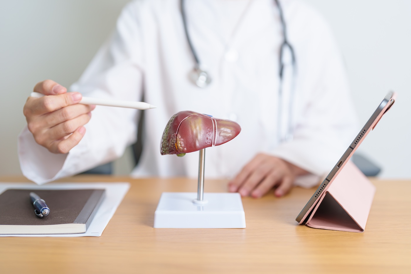 A doctor using a stylus to point at a model of the human liver